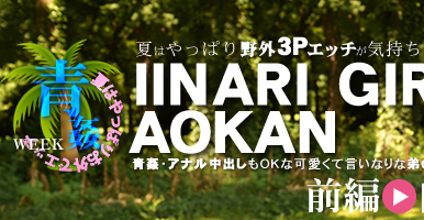 Ԥ줺ǤޤWե⡪IINARI GIRL AOKAN  ANITA / ˥