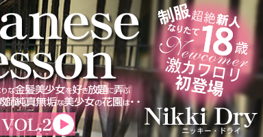 Japanese Lesson İʤʶȱ򹥤Ϯ֡VOL2 Nikki Dry / ˥å ɥ饤