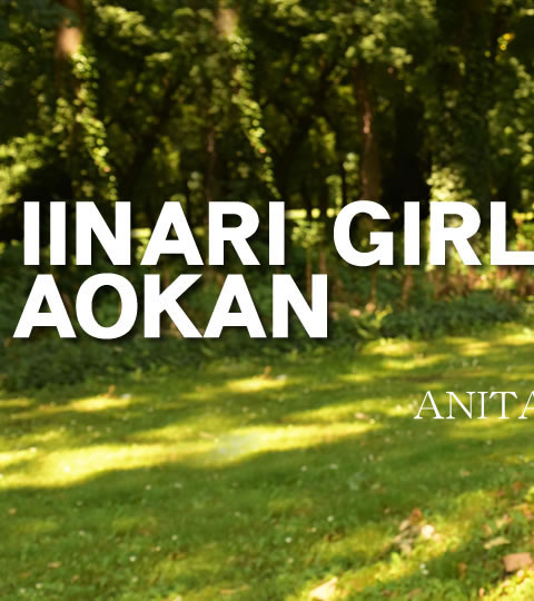 IINARI GIRL AOKAN BEAUTIFUL ANITA OUTSIDE Fxxx VOL1 / Anita Bellini