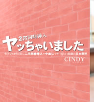 եƤӽФƱФǤꤿ˻ VOL1 CINDY / ǥ