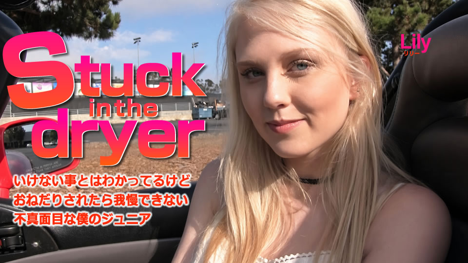 Stuck in the dryer いけない事とはわかっているけど・・Lily